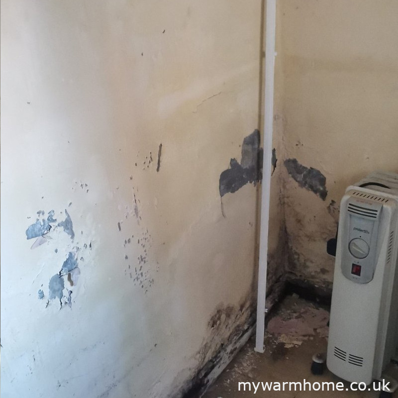 Recurring wall staining after repeated repainting